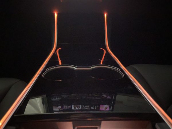 Light Tubes (LED) with App for Tesla Model 3 & Y - TheHydrataseStore