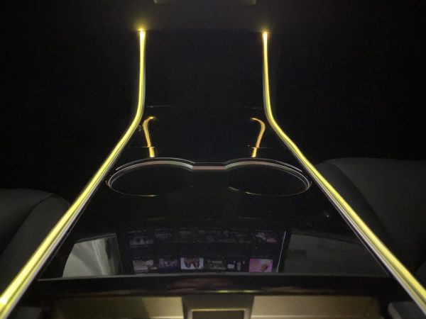 Light Tubes (LED) with App for Tesla Model 3 & Y - TheHydrataseStore