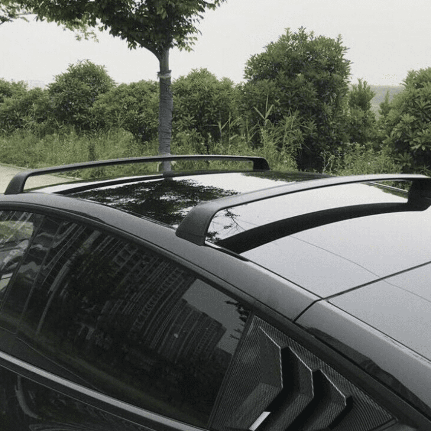 Screenshot-2023-02-24-at-12.49.12-PM