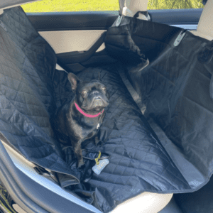 Rear Seat Pet Cover Mat for Tesla Model 3 and Y