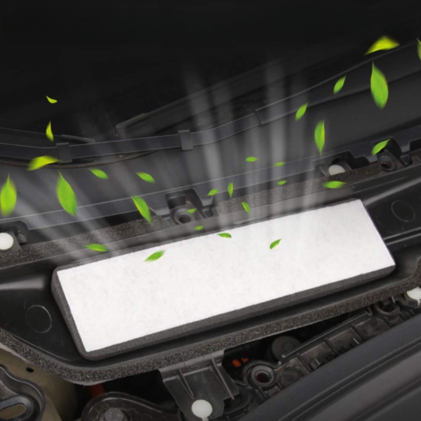 snapedit_1677274085325